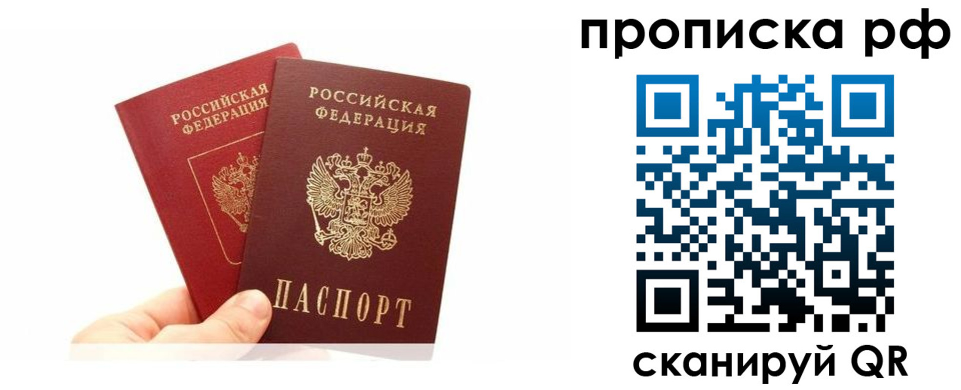 временная регистрация поиск в Электрогорске